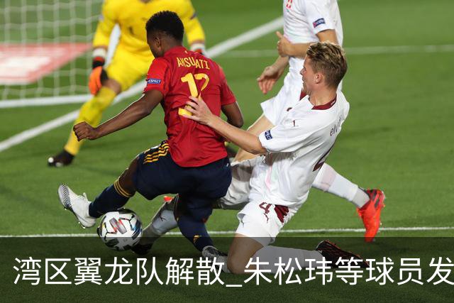 湾区翼龙队解散 朱松玮等球员发布声明维权